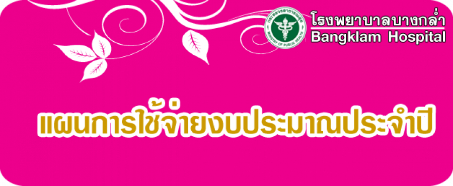 แผนงบค่าบริการทางการแพทย์ที่เบิกจ่ายในลักษณะงบลงทุน ปีงบประมาณ 2562